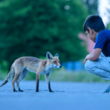 Berlin: Berührendes Fotoprojekt bringt Flüchtlingskinder und Füchse zusammen - Bild 8