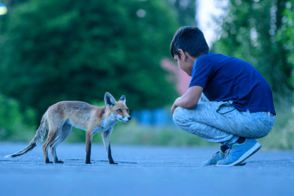 Berlin: Berührendes Fotoprojekt bringt Flüchtlingskinder und Füchse zusammen - Bild 8