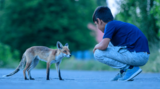 Berlin: Berührendes Fotoprojekt bringt Flüchtlingskinder und Füchse zusammen - Bild 8