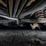 Heart of the Barracks