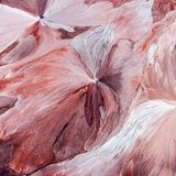 Umweltfotografie: Kraftvolle Bilder über den Zustand unserer Erde - Bild 4