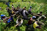 Umweltfotografie: Kraftvolle Bilder über den Zustand unserer Erde - Bild 5