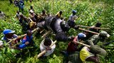 Umweltfotografie: Kraftvolle Bilder über den Zustand unserer Erde - Bild 5