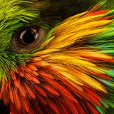 Kraftvolle Bilder über den Zustand unserer Erde