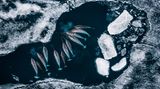 Umweltfotografie: Kraftvolle Bilder über den Zustand unserer Erde - Bild 8