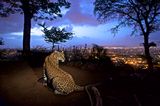 Umweltfotografie: Kraftvolle Bilder über den Zustand unserer Erde - Bild 10