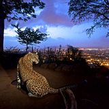 Umweltfotografie: Kraftvolle Bilder über den Zustand unserer Erde - Bild 10