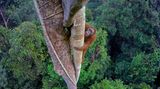 Umweltfotografie: Kraftvolle Bilder über den Zustand unserer Erde - Bild 11