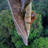 Umweltfotografie: Kraftvolle Bilder über den Zustand unserer Erde - Bild 11