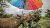 Umweltfotografie: Kraftvolle Bilder über den Zustand unserer Erde - Bild 12
