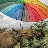 Umweltfotografie: Kraftvolle Bilder über den Zustand unserer Erde - Bild 12