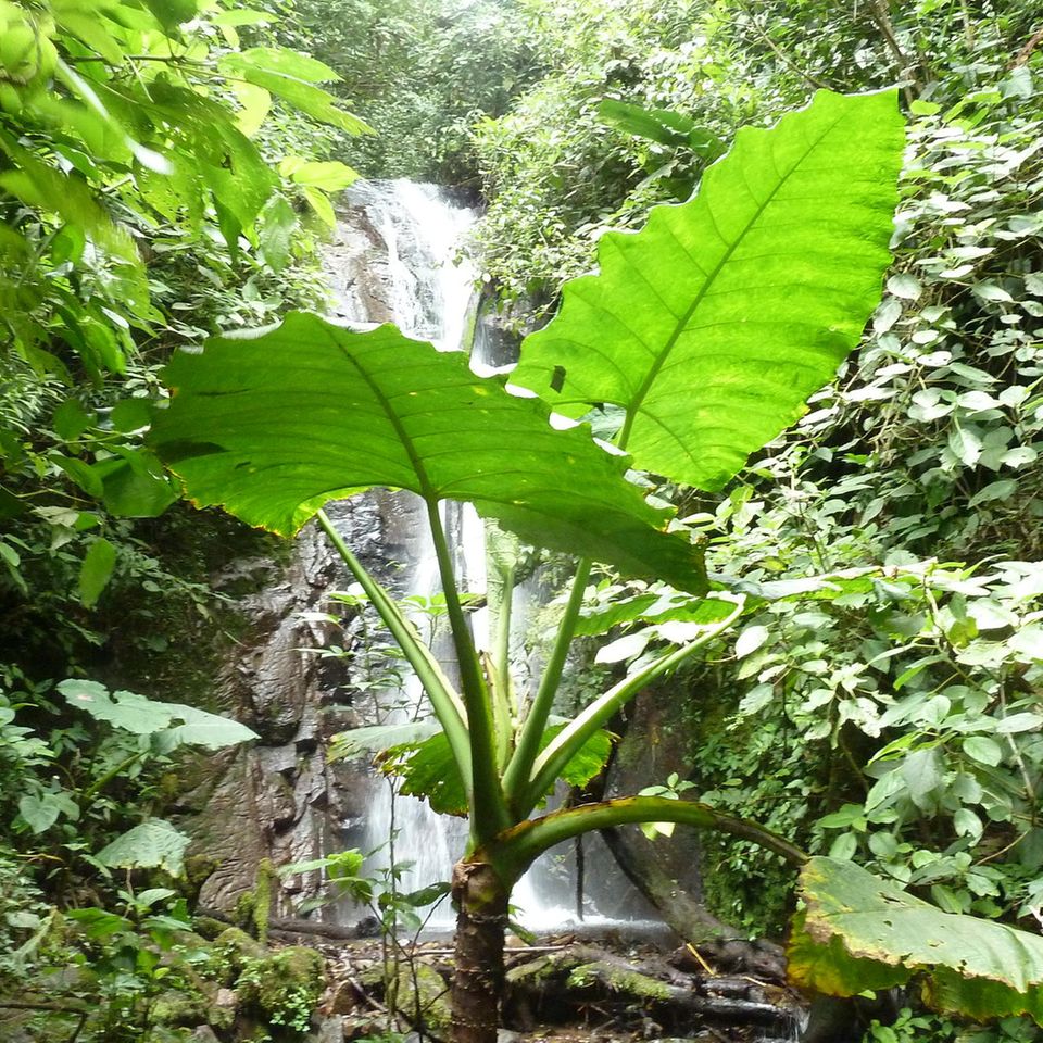 Naturschönheiten