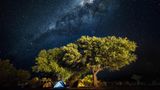 GEO LESERFOTO: Die besten Leserfotos: Oktober 2020 - Bild 18