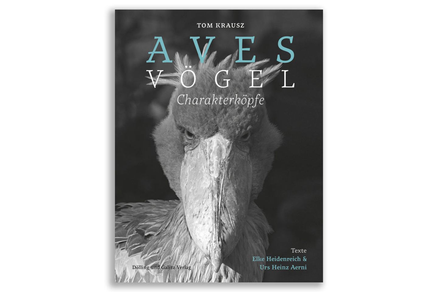 Der Bildband: Aves | Vögel Aves, Vögel