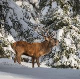 GEO LESERFOTO: Die besten Leserfotos: Oktober 2020 - Bild 17