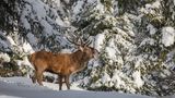 GEO LESERFOTO: Die besten Leserfotos: Oktober 2020 - Bild 17
