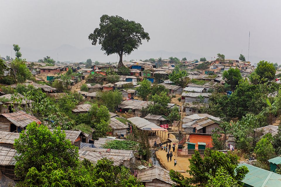 Bangladesch: Das »Mega-Camp« ist das größte von mehreren Flüchtlingslagern im Süden von Bangladesch: Auf 13 Quadratkilometern leben gut 600000 Menschen aus dem benachbarten Myanmar. Vom einstigen Regenwald blieb nur ein Baum stehen. Neu gepflanzte Gewächse sollen Schatten spenden – und vor Erdrutschen schützen