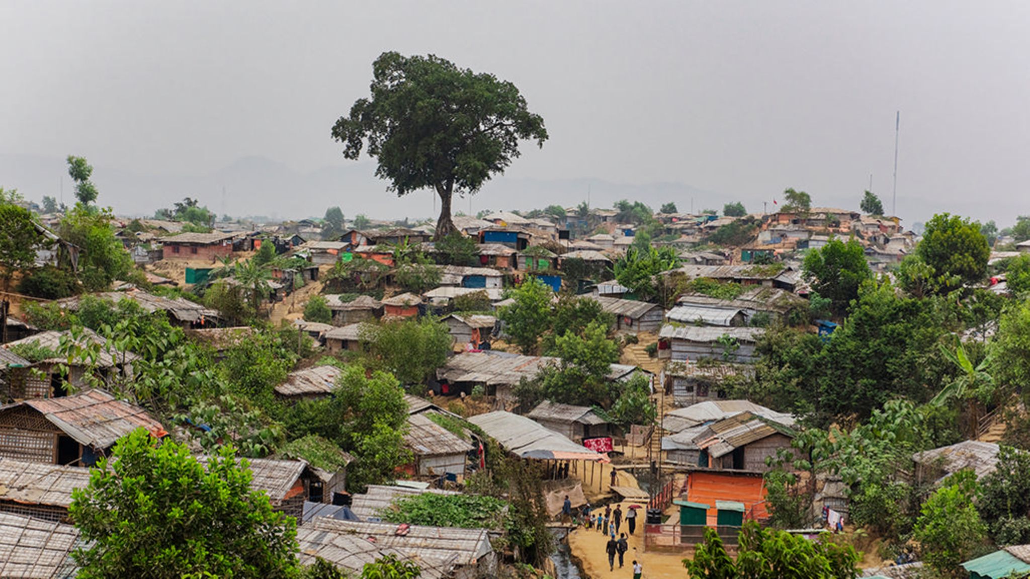 Bangladesch: Das »Mega-Camp« ist das größte von mehreren Flüchtlingslagern im Süden von Bangladesch: Auf 13 Quadratkilometern leben gut 600000 Menschen aus dem benachbarten Myanmar. Vom einstigen Regenwald blieb nur ein Baum stehen. Neu gepflanzte Gewächse sollen Schatten spenden – und vor Erdrutschen schützen