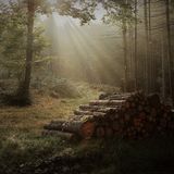 Herbstwanderung im Bayerischen Wald