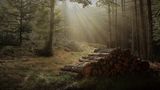 Herbstwanderung im Bayerischen Wald