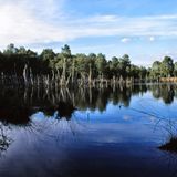 Saterland, Moorlandschaft