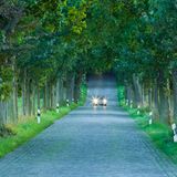 Deutsche Alleenstrasse, Putbus, Rügen