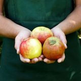 mauritius images / Nora Frei