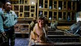 Paul Hilton/ Wildlife Photographer of the Year