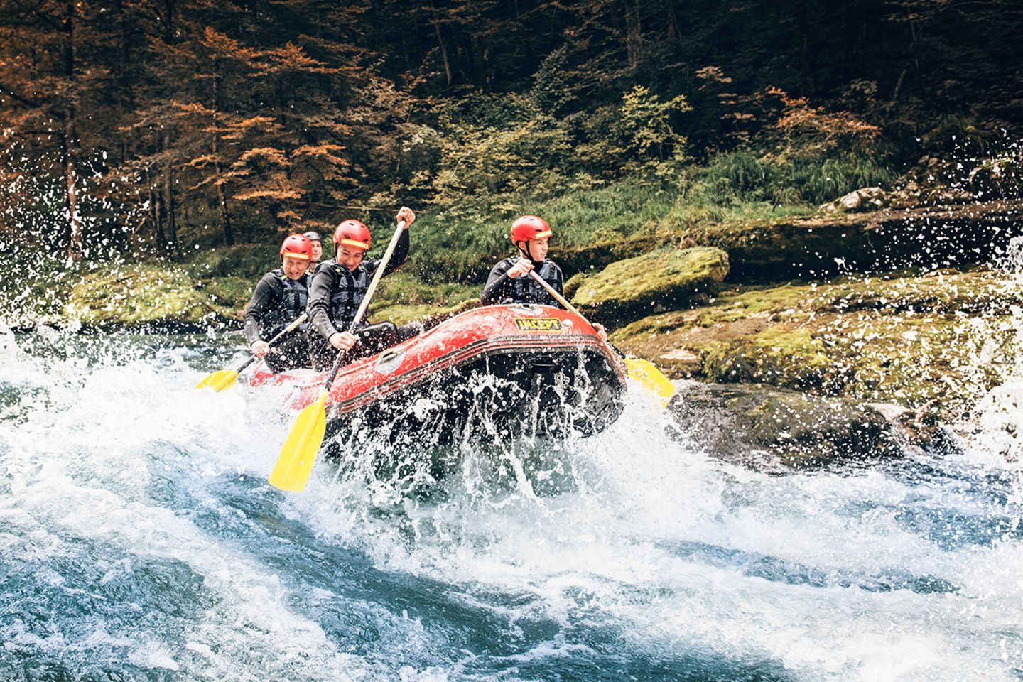 Serie: Wildes Europa: Nationalpark Gesäuse: Österreichs junger Wilder - Bild 6 Rafting auf der Enns