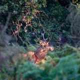 GEO LESERFOTO: Die besten Leserfotos: Oktober 2020 - Bild 12