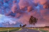 Mammatus
