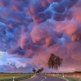 Mammatus