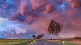 Mammatus