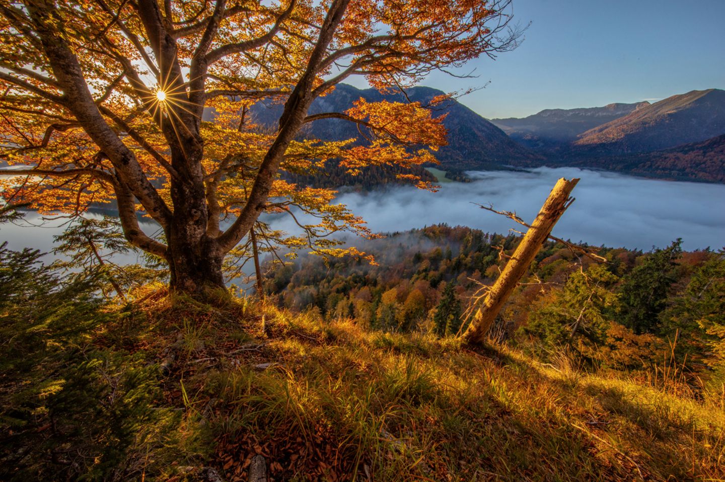 Ausblick vom Hennenköpfel