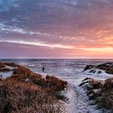 Nationalpark Vadehavet: Besuch im dänischen Wattenmeer