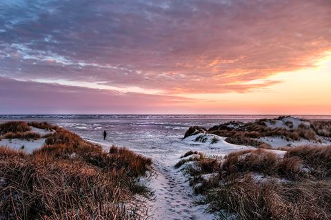 Nationalpark Vadehavet: Besuch im dänischen Wattenmeer