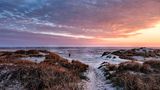Nationalpark Vadehavet: Besuch im dänischen Wattenmeer