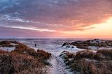 Nationalpark Vadehavet: Besuch im dänischen Wattenmeer