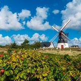 Nationalpark Vadehavet: Ruhig und weitläufig - ein Besuch im dänischen Wattenmeer - Bild 3