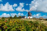 Nationalpark Vadehavet: Ruhig und weitläufig - ein Besuch im dänischen Wattenmeer - Bild 3