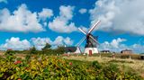 Nationalpark Vadehavet: Ruhig und weitläufig - ein Besuch im dänischen Wattenmeer - Bild 3