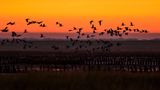 Nationalpark Vadehavet: Ruhig und weitläufig - ein Besuch im dänischen Wattenmeer - Bild 4
