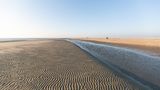 Nationalpark Vadehavet: Ruhig und weitläufig - ein Besuch im dänischen Wattenmeer - Bild 5