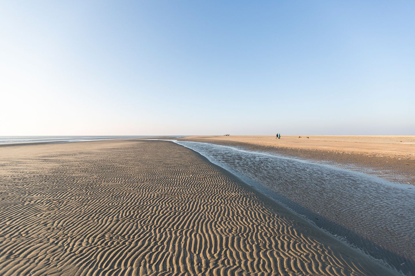 Nationalpark Vadehavet: Ruhig und weitläufig - ein Besuch im dänischen Wattenmeer - Bild 5 Nationalpark Vadehavet: Ruhig und weitläufig - ein Besuch im dänischen Wattenmeer - Bild 5
