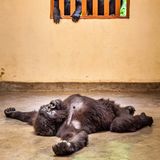 GDT ENJ 2020, Marcus Westberg