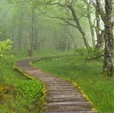 Deutschland: Die Rhön - das facettenreiche Herz Deutschlands - Bild 4