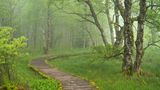 Deutschland: Die Rhön - das facettenreiche Herz Deutschlands - Bild 4