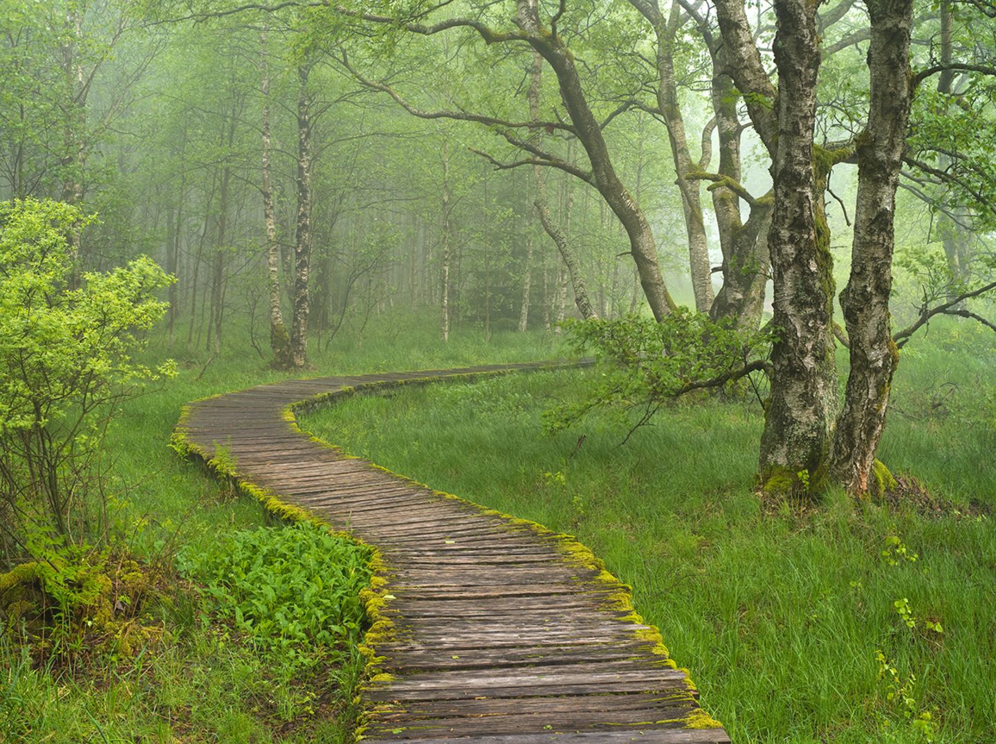Deutschland: Die Rhön - das facettenreiche Herz Deutschlands - Bild 4 Deutschland: Die Rhön - das facettenreiche Herz Deutschlands - Bild 4