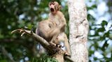 Megan Lorenz/Comedy Wildlife Photography Award