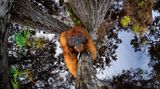 Thomas Vijayan/Siena International Photo Awards